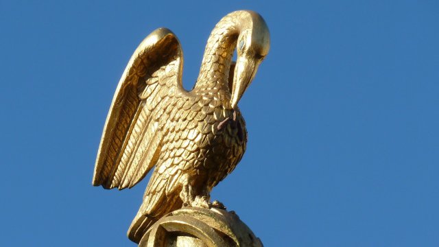 Pelican on Sundial